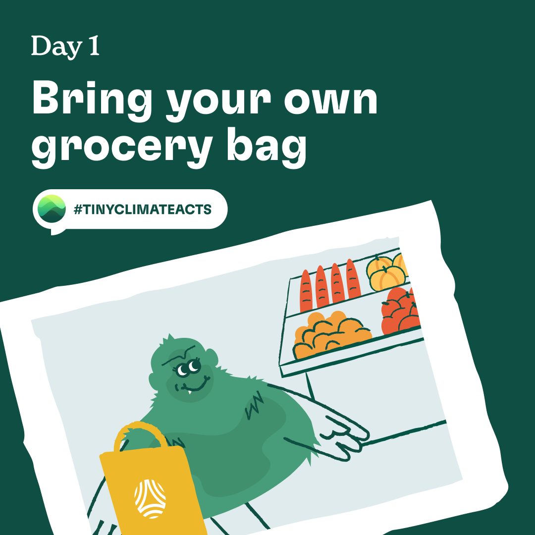 Day 1: Bring your own grocery bag
